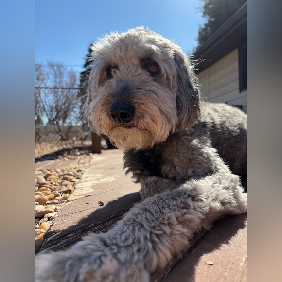 HELLO 🍓🍒 - Picture 4 of 5